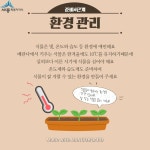 비대면 콘텐츠 실내텃밭 가꾸기 - 기초편