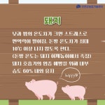 비대면 콘텐츠 [진천군] 봄 환절기, 세심한 축사관리로 가축건강 지켜요