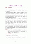 TRIZ(트리즈)란 무엇인가