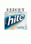 하이트(Hite)의 성공 사례 분석