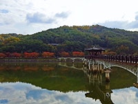 직장인을 위한 당일치기 자전거 여행, 안동댐 - 상주보 낙동강 자전거길 - 라이드매거진 직장인을 위한 당일치기 자전거 여행, 안동댐 - 상주보... 