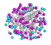 【坂口至徳の科学の現場を歩く】神の眼レベル…酵素の構造を解析、体内と同じ常温・原子分解能で　京大・理研など、Ｘ線自由レーザーで... 