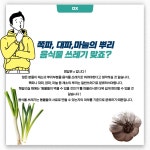 서대문구청 > 먹거리 > 알림마당 > 먹거리사업소식 | 보기