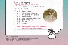상세보기 | 세종투데이 | 공연·전시·강좌 | 세종문화회관 2018 꿈나무 예술탐험대