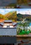 시니어매일