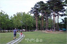 생활속 530 운동으로 건강한 삶 누린다 - 시니어매일 생활속 530 운동으로 건강한 삶 누린다