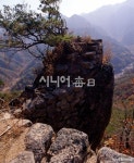견훤산성 국가 사적 승격을 위한 학술대회 개최 - 시니어매일 견훤산성 국가 사적 승격을 위한 학술대회 개최