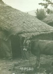 [사라져 가는 것들] ‘소평마을’ 이야기 ㉑새끼 꼬기와 가마니 치기 - 시니어매일 [사라져 가는 것들] ‘소평마을’ 이야기 ㉑새끼 꼬기와 가마니... 