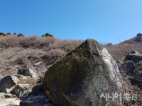 청정지역 황매산에서 힐링을 - 시니어매일 청정지역 황매산에서 힐링을