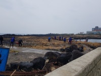 표선 로타리클럽 , 표선 해안변 정화활동 실시 - 시정뉴스 홈페이지 서귀포시청