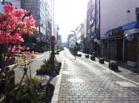 홍보영상 - 시정뉴스 홈페이지