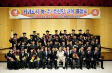 홍보영상 - 시정뉴스 홈페이지 서귀포시청