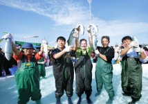 홍보영상 - 시정뉴스 홈페이지