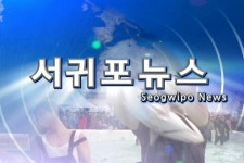 홍보영상 - 시정뉴스 홈페이지