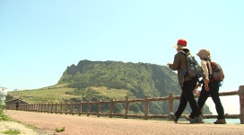 홍보영상 - 시정뉴스 홈페이지 서귀포시청