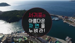 서귀포시 홈페이지 서귀포시청