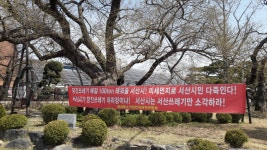자유게시판 상세보기 - 서산시청