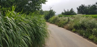 자유게시판 상세보기 - 서산시청