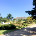 모텔/여관 - 문화관광