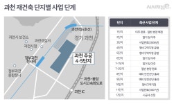 과천 재건축 후발주자들 잇따라 잰걸음 - 시사저널e - 온라인 저널리즘의 미래 과천 재건축 후발주자들 잇따라 잰걸음