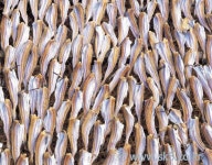 수산물 상품리스트 | 이미지 사용조건이 까다롭지 않은 요리사진 100만컷