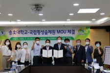 송호대학교