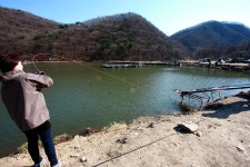 유정낚시터 유료낚시터 > 찌올림 하나만큼은 예술입니다.^^ : 낚시사랑