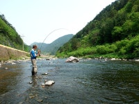 유정낚시터 > 유정지 김실장의 생애첫 봉화 열목어 피싱 : 낚시사랑