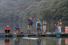 유정낚시터 > 가을비 내리는 주말 유정지~~ : 낚시사랑