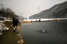 스파이더최 > 봉돌만 몇개 달았을뿐인데..(유정지) : 낚시사랑