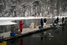스파이더최 > 유정지 설경~(동영상) : 낚시사랑