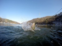 스파이더최 > 유정지 돌대가리 하나면 끝!! : 낚시사랑