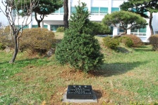 청주지방검찰청 제천지청 > 알림마당 > 생생포토 > 상세보기 - 제73회 식목행사 개최 제73회 식목행사 개최