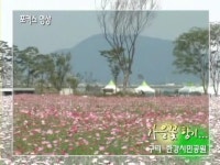 spbs 검찰방송 > 참여마당 > 포커스 영상 > 상세보기 - 가을꽃 향기-구리 한강시민공원(08.09.22.) 가을꽃 향기-구리 한강시민공원(08.09.22.)