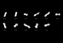 또렷하게 포착된 개뼈 소행성 클레오파트라