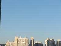 심심해서 찍은 집 근처 풍경들