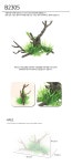 인공해송괴목
