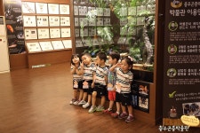 신월이화어린이집 - 충우곤충박물관 투어 - 곤충체험학습