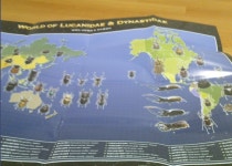 4월 충키를 잡아라! 222점 택배해체기!