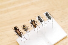 대지의 적절한 사용