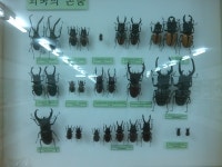 창녕에 있는 박물관 다녀왔습니다.