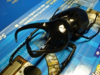 천안사시는분들 ㅋㅋㅋ사진 포함! 천안사시는분들 ㅋㅋㅋ사진 포함!