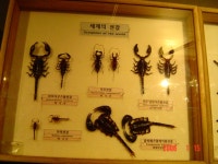 창원 곤충전시관 방문기~~~