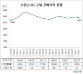 사강, 고철 구매가격 인상 - 스틸프라이스 