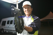 900g 후반대의 갑오징어들과 왕 낙지들^^