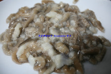 900g 후반대의 갑오징어들과 왕 낙지들^^