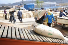 뛰겠습니다!   황숙주 청렴행정 > 사진으로 보는 군정활동 게시판 글보기