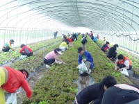 소식/참여 > 군정소식 > 읍면소식 게시판 글보기
