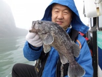 (西)서해조황 - 안흥 성남호 4월 16일 조황 사진입니다.