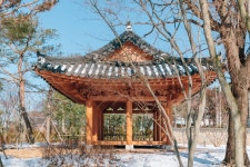 수목원은 지금(상세) : 일월수목원 > 수목원이야기 > 수목원은 지금 일월수목원 다산정원(22.12월)